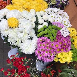 Meet your Posher, Ryleigh